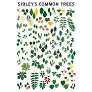 Sibley's Common Trees of Eastern North America