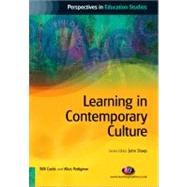 Learning in Contemporary Culture