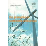 The Promotion of Sustainable Enterprises