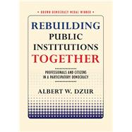 Rebuilding Public Institutions Together