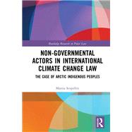 Non-Governmental Actors in International Climate Change Law