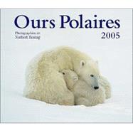 Ours Polaires 2005