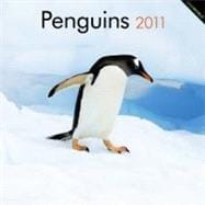 Penguins 2011 Calendar