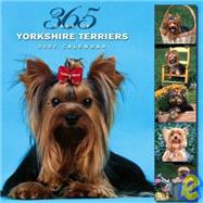 365 Days of Yorkshire Terriers 2007 Calendar