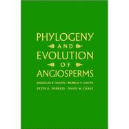 Phylogeny And Evolution Of Angiosperms