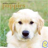 Golden Retriever Puppies 2010 Calendar