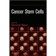 Cancer Stem Cells Identification and Targets