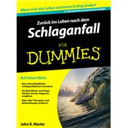 Zur?ck ins Leben nach dem Schlaganfall f?r Dummies