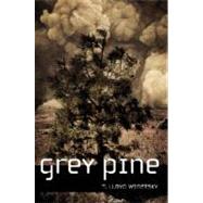Grey Pine