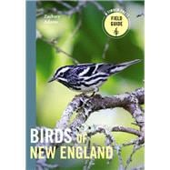 Birds of New England A Timber Press Field Guide