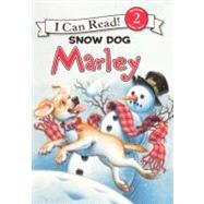 Snow Dog Marley