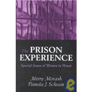 The Prison Experience