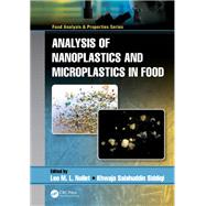 Analysis of Nanoplastics and Microplastics in Food