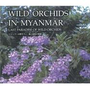 Wild Orchids in Myanmar Vol. 1 Last Paradise of Wild Orchids