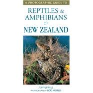 A Photographic Guide To Reptiles & Amphibians Of New Zealand