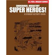Shorebirds- Migratory Super Heroes!