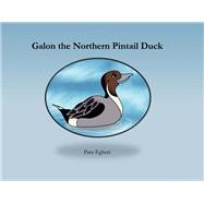 Galon the Northern Pintail Duck