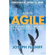 Being Agile in a Waterfall World