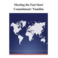 Meeting the Fast Start Commitment