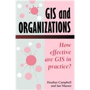 Gis and Organizations