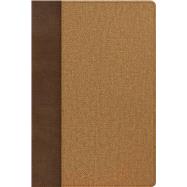 CANCELLED: KJV Rainbow Study Bible, Brown/Tan LeatherTouch, Indexed