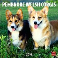 Pembroke Welsh Corgis 2010 Calendar