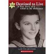 True Story Of A Child In The Holocaust