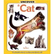 Uncover a Cat