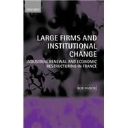 Large Firms and Institutional Change Industrial Renewal and Economic Restructuring in France