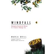 Windfall: Managing Unexpected Money Before It Manages You