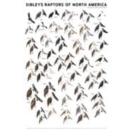 Sibley's Raptors of North America