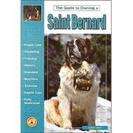 The Guide to Owning a Saint Bernard