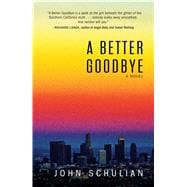 A Better Goodbye A Novel