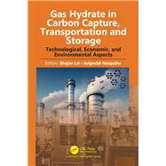 Gas Hydrate in Carbon Capture, Transportation and Storage