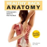 Healthy Back Anatomy