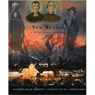 New Mexico : A Brief Multi-History