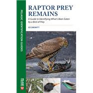 Raptor Prey Remains Guide Identifying
