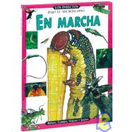 En marcha/ In Motion: Reptan, corren, vuelan y saltan/ They Crawl, Run, Fly and Hop