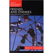 Friends and Enemies Peer Relations in Childhood