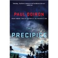 The Precipice A Novel