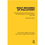 What Becomes of Polllution?