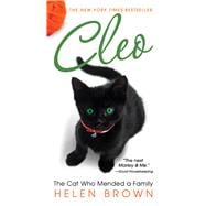 CLEO The Cat Who Mended a Family