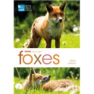 RSPB Spotlight: Foxes