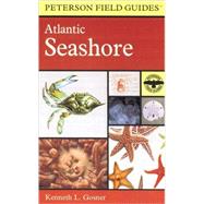A Field Guide to the Atlantic Seashore: From the Bay of Fundy to Cape Hatteras