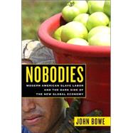 Nobodies : Modern American Slave Labor and the Dark Side of the New Global Economy