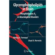 Glycerophospholipids in the Brain