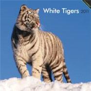 White Tigers 2011 Calendar