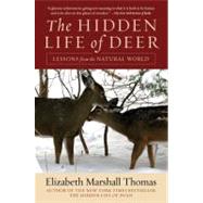 The Hidden Life of Deer: Lessons from the Natural World