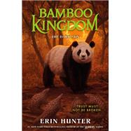 Bamboo Kingdom #4: The Dark Sun