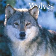 Wolves 2009 Calendar